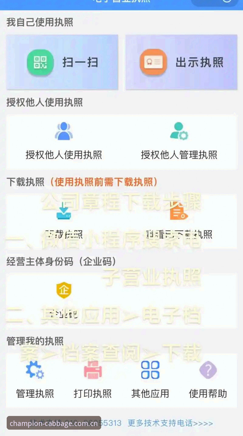 冠军白菜下载通道实用指南：从安装到注册的必备知识